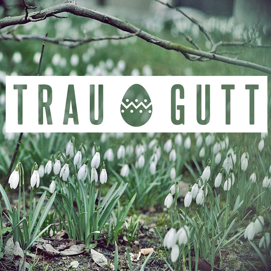 wiosna_traugutt