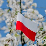 Weź udział w Dyktandzie – wesprzyj NJK!